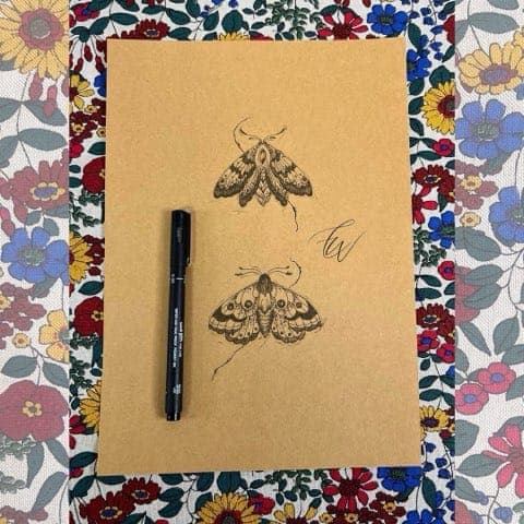 Dessin original de papillons de nuit à l'encre par Cristelle, Le Papillon Qui Pique Montbéliard